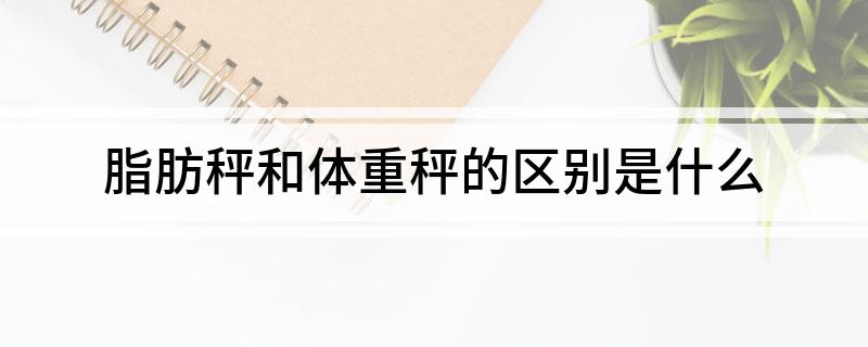 秤和体重秤的区别是什么pg电子试玩平台脂肪